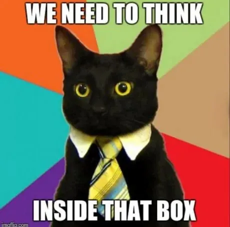 A meme with a cat and the text: "We need to think inside that box"