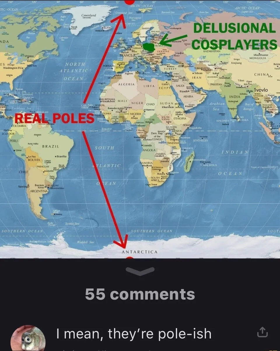 World map with humorous labels "REAL POLES" (Arctic and Antarctica) and "DELUSIONAL COSPLAYERS" (Poland). Below is a comment: "I mean, they're pole-ish" - a pun referring to Polish people and geographical poles.